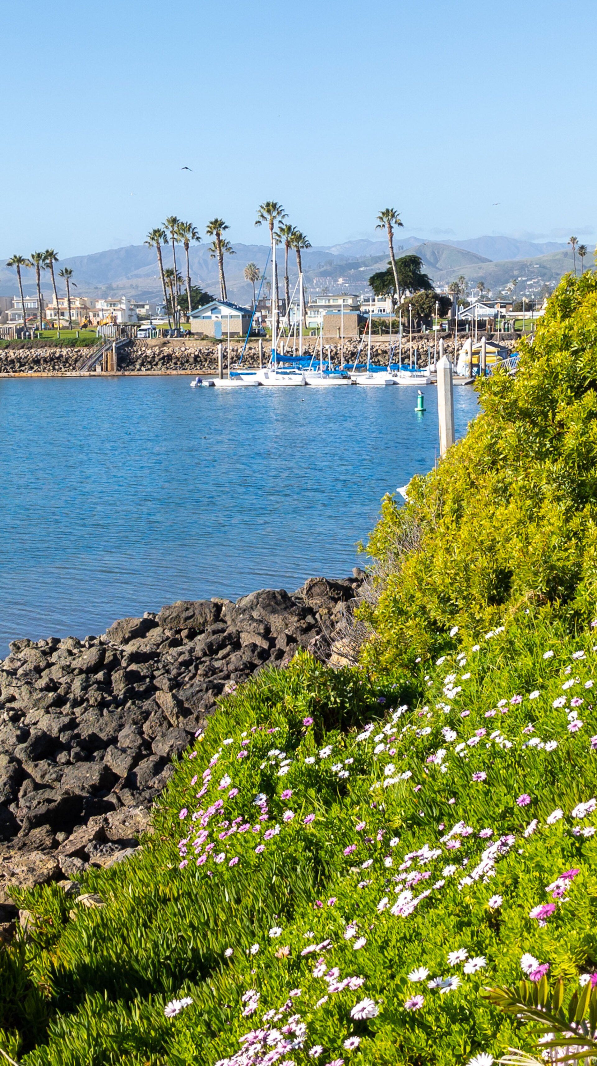 Homepage Photo Gallery