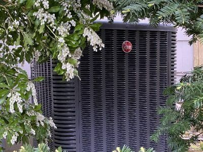 A black Rheem air conditioning unit surrounded by green shrubbery and white flowers.