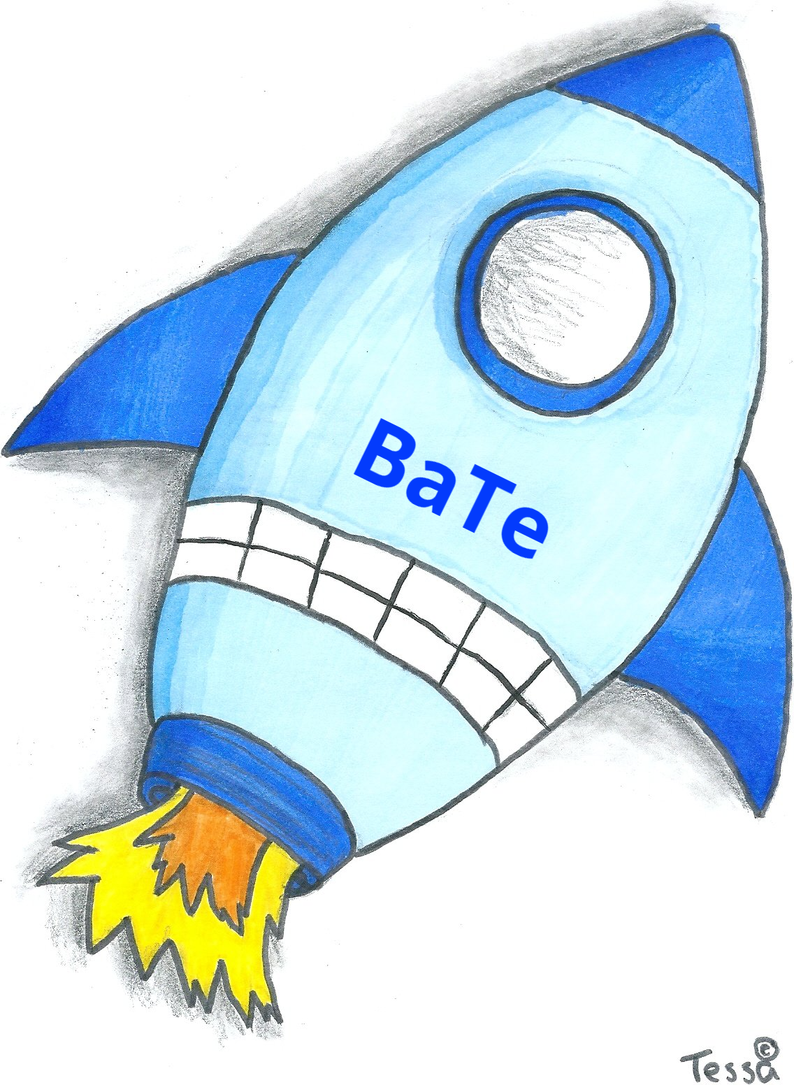 BaTe financiële dienstverlening