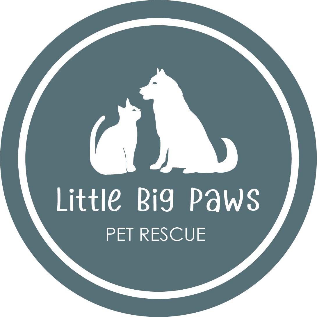 Little Big Paws Pet Rescue
