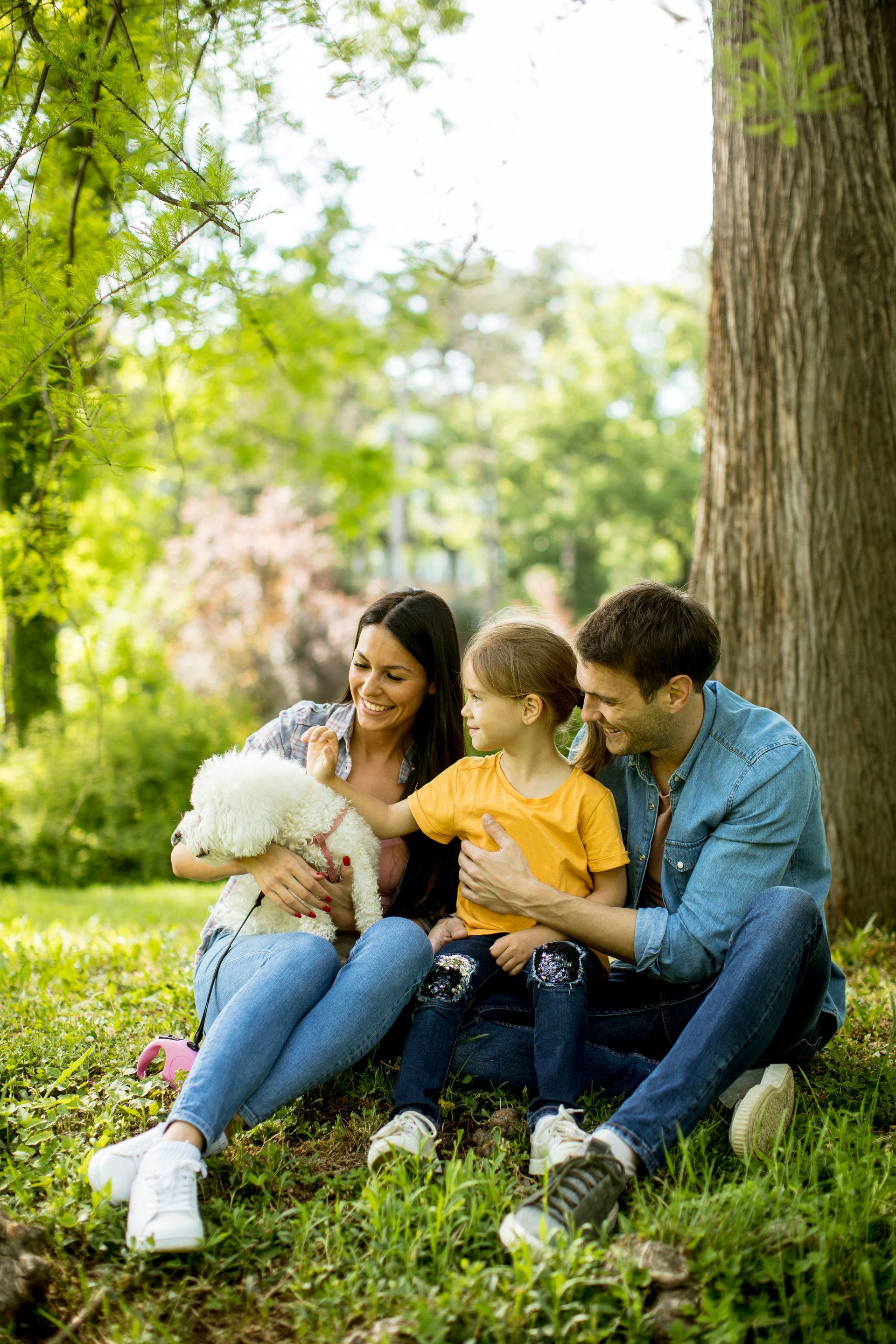 A family is sitting under a tree with a dog.