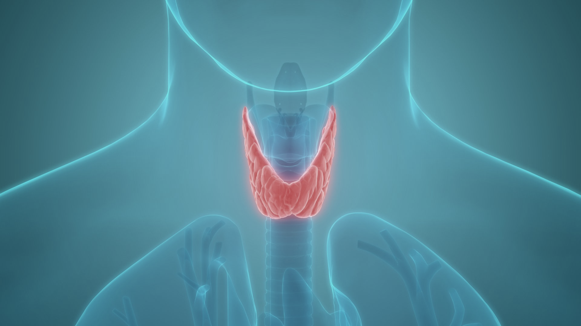 Hypothyroidism Treatment