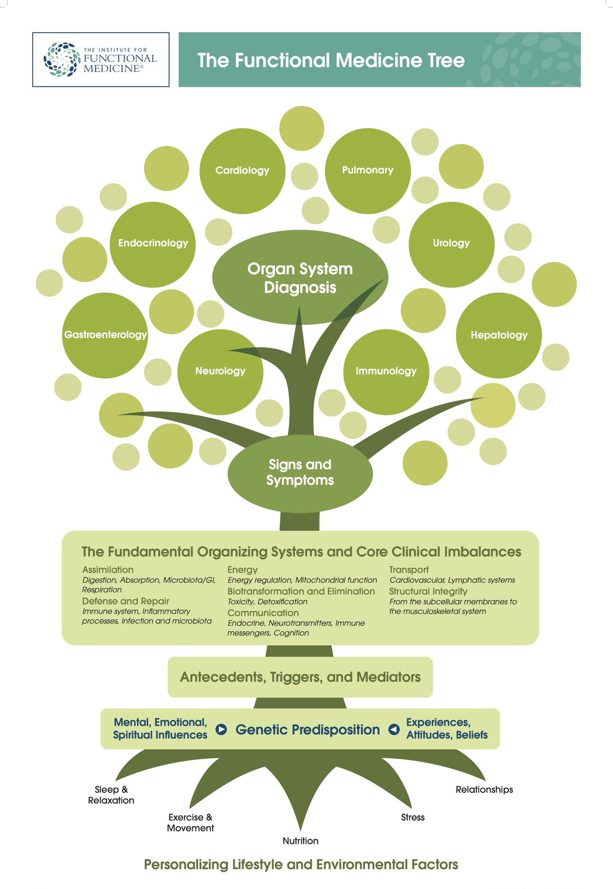 functional medicine tree