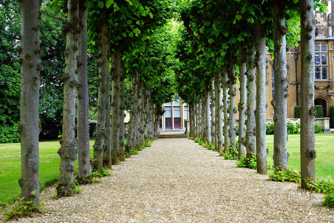 Tree-lined gravel pathway leading to a building, with rows of tall stone pillars on both sides