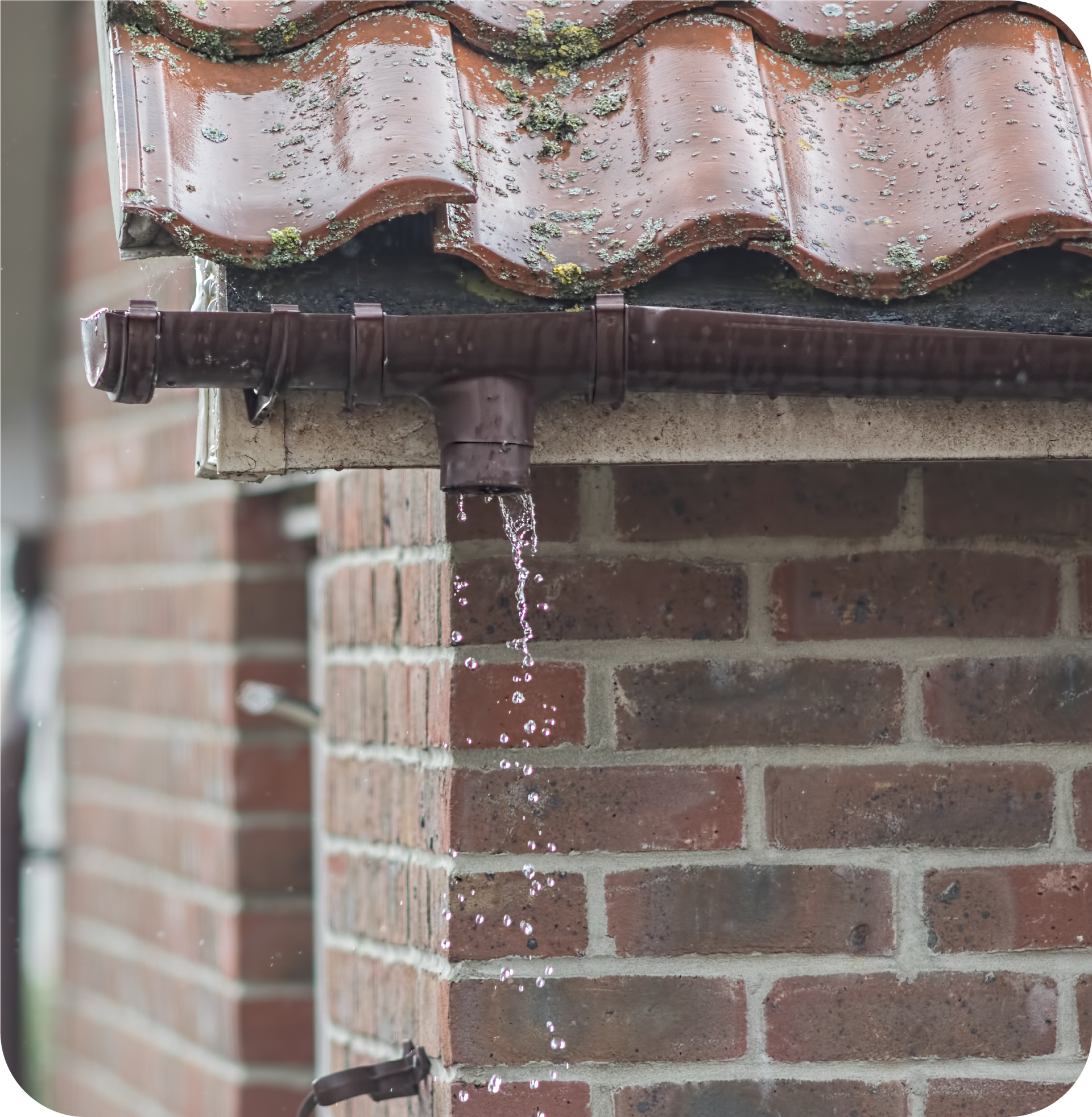 Water is dripping from a gutter on a brick building
