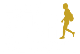 2025 World Summit on Human Trafficking Femicide, And Gender-Based Violence logo