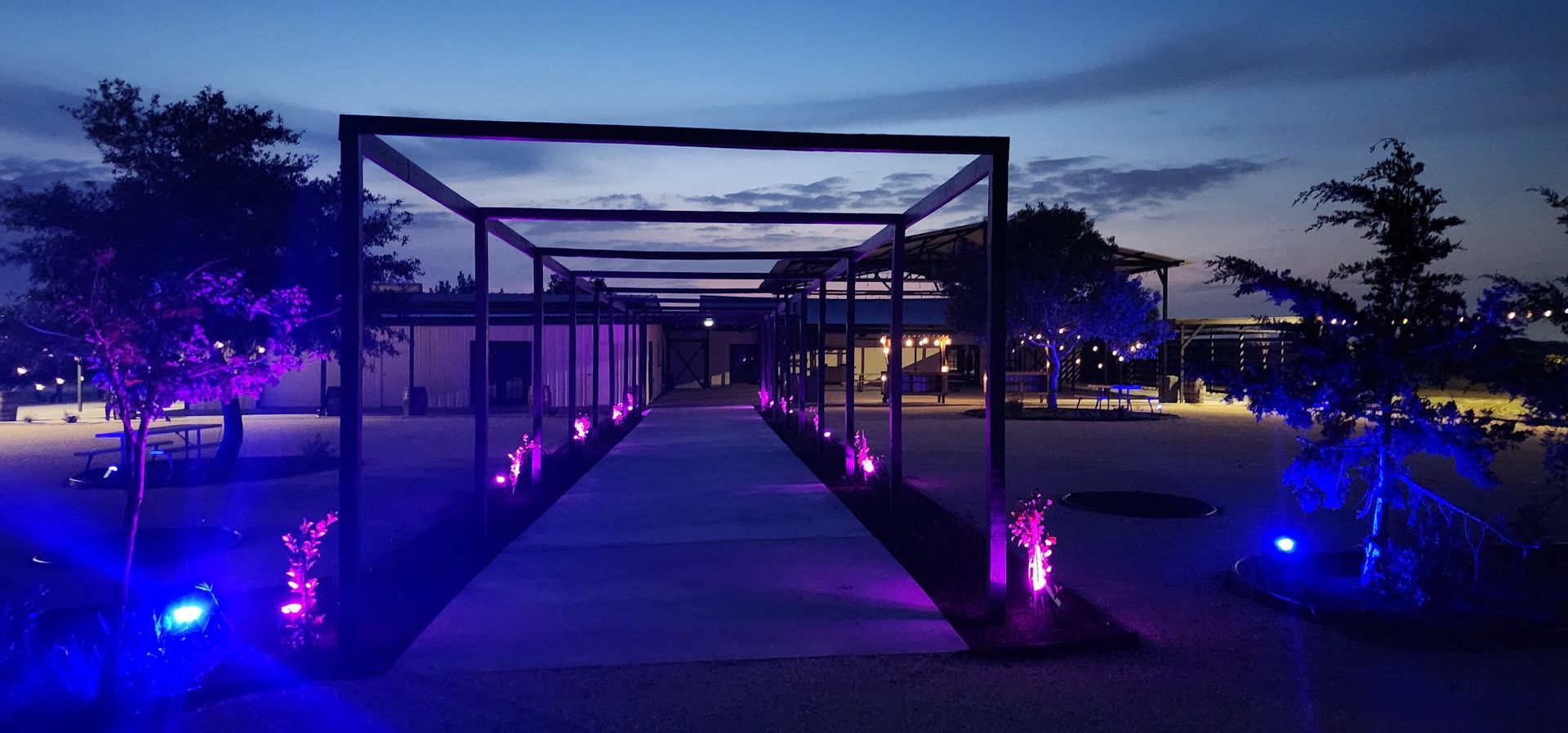A walkway lit up with purple and blue lights at a wedding venue in Austin