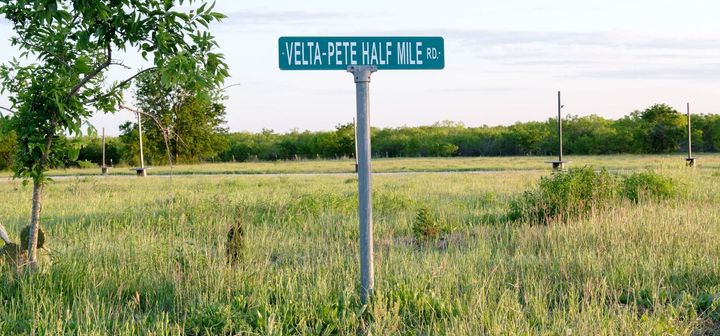 A street sign in a field with trees at Maha ATX