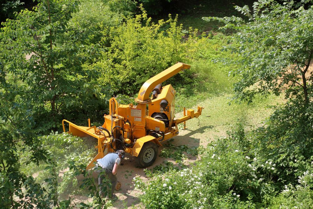 Yellow wood chipper in a wooded area with a person feeding branches into it.