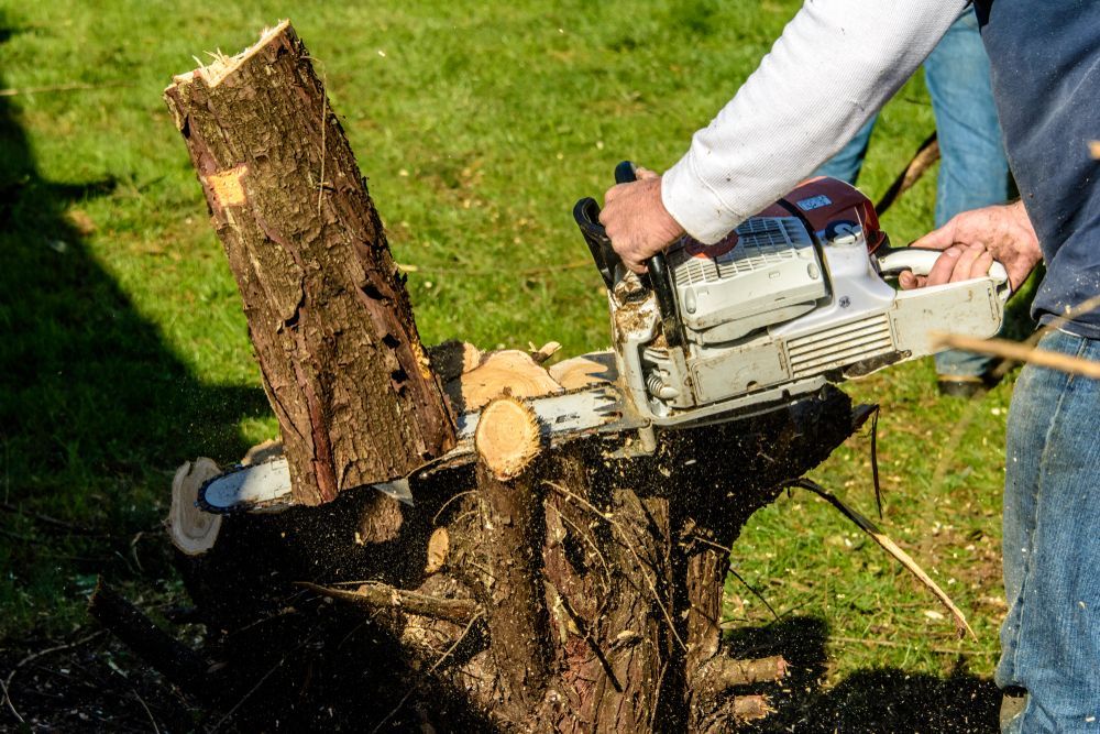 Person using a chainsaw to cut through a tree stump outdoors.