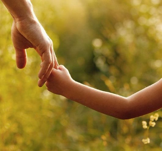 Young kid holding the hand of his parent