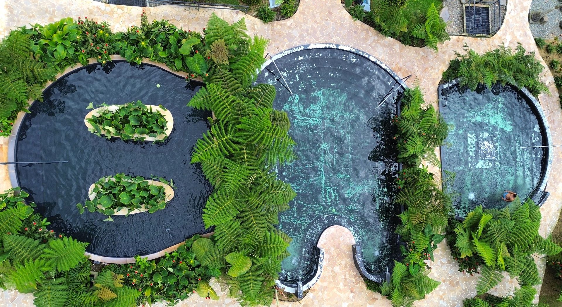 Vista aérea de piscinas termales rodeadas de helechos y senderos en hotel con termales en Manizales.