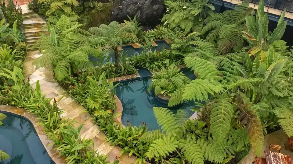 Vista de las piscinas termales del Hotel Termales El Otoño en Manizales, rodeadas de vegetación y ambiente cálido característico del destino.
