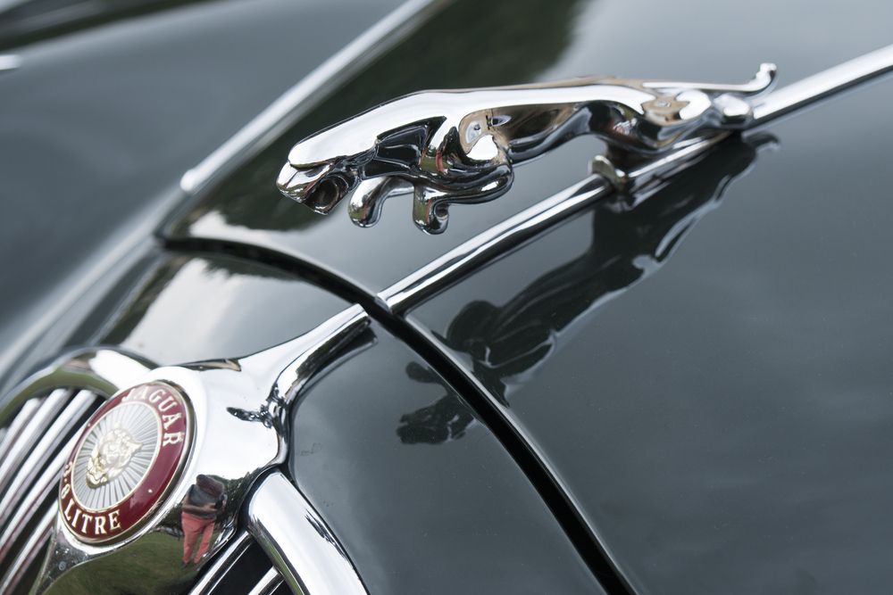 JAGUAR MECHANICS IN FRASER VALLEY, BC