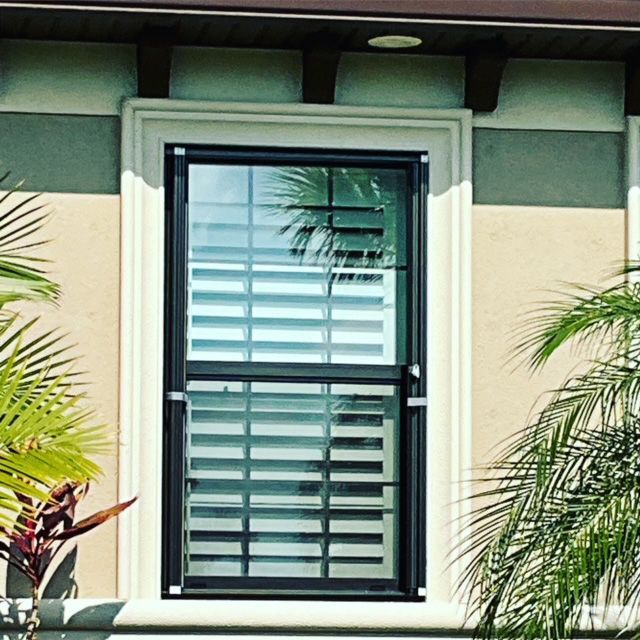 A window with blinds on it is surrounded by palm trees