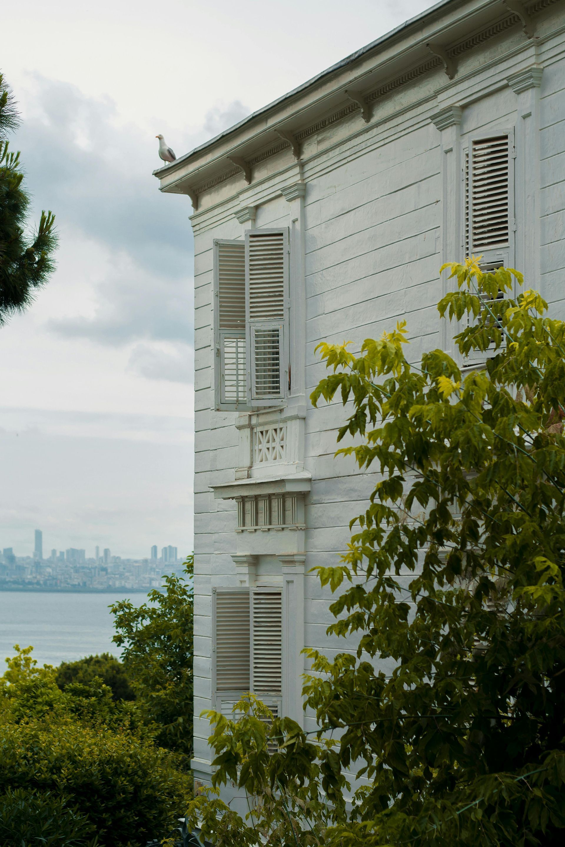 A white house with a bird on the roof and trees in front of it