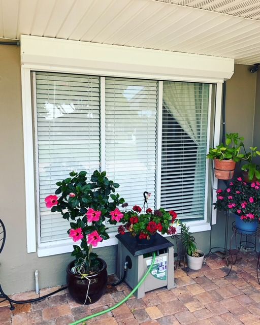 A window with blinds and flowers in front of it