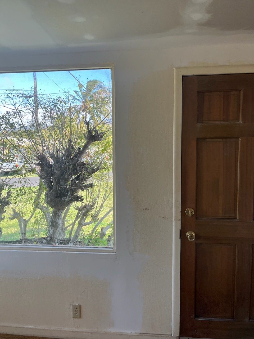 Interior view of a window with a tree visible outside and a closed wooden door to the right. White walls.