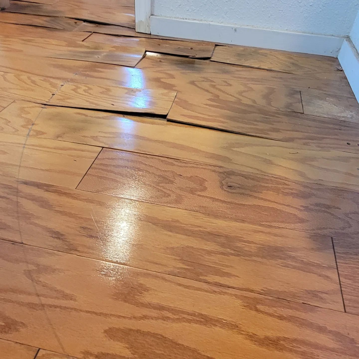 Buckled hardwood floor in a room. Boards are raised and split; damage is near a door frame.