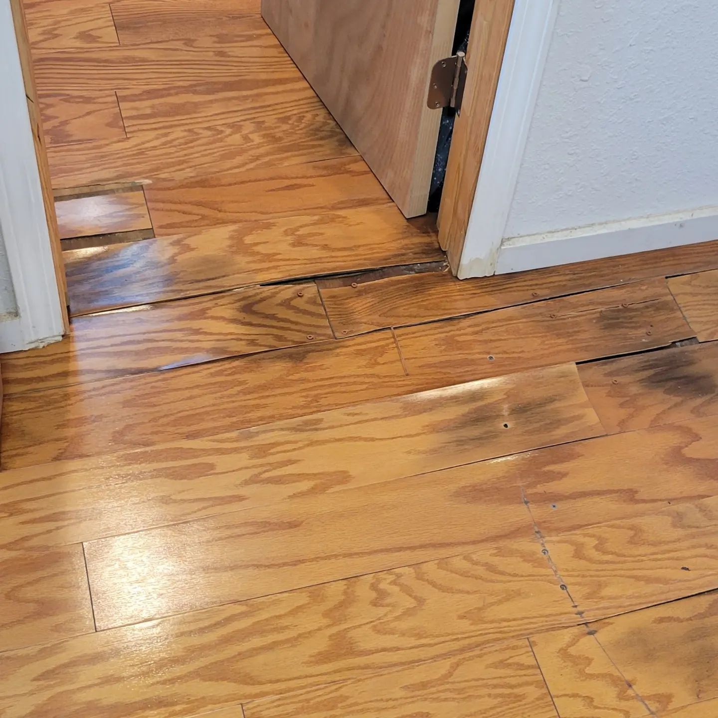 Damaged hardwood floor with dark discoloration near a doorway and wall.