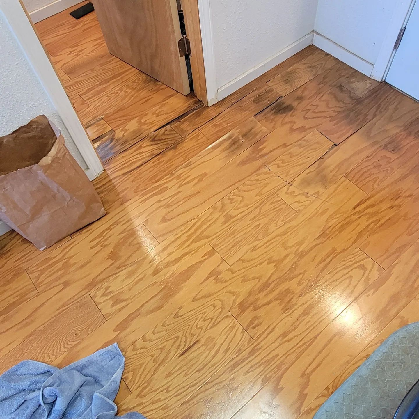Wooden floor with visible water damage, buckling and dark stains near a door and wall.
