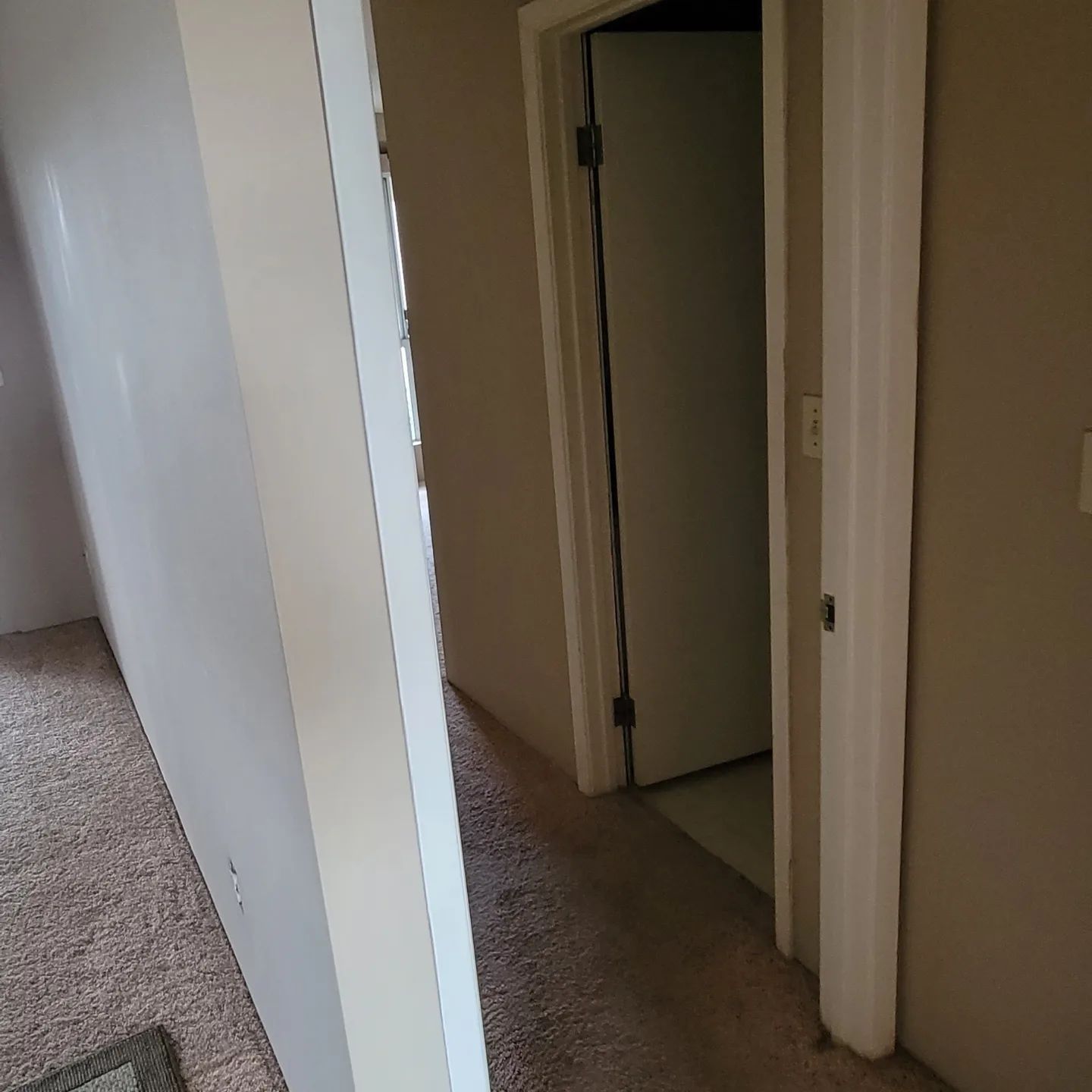 Hallway with carpet, beige walls, white door frames, and a partially open door.