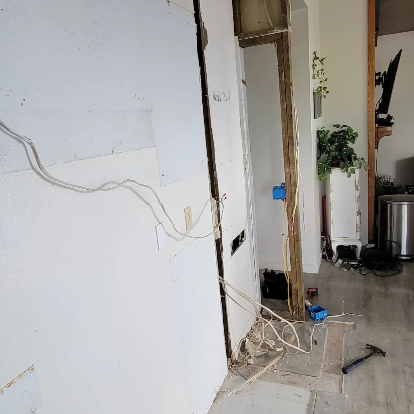 Wall demolition in progress; exposed wires and studs.  Interior view with plants, trash can, and hammer.