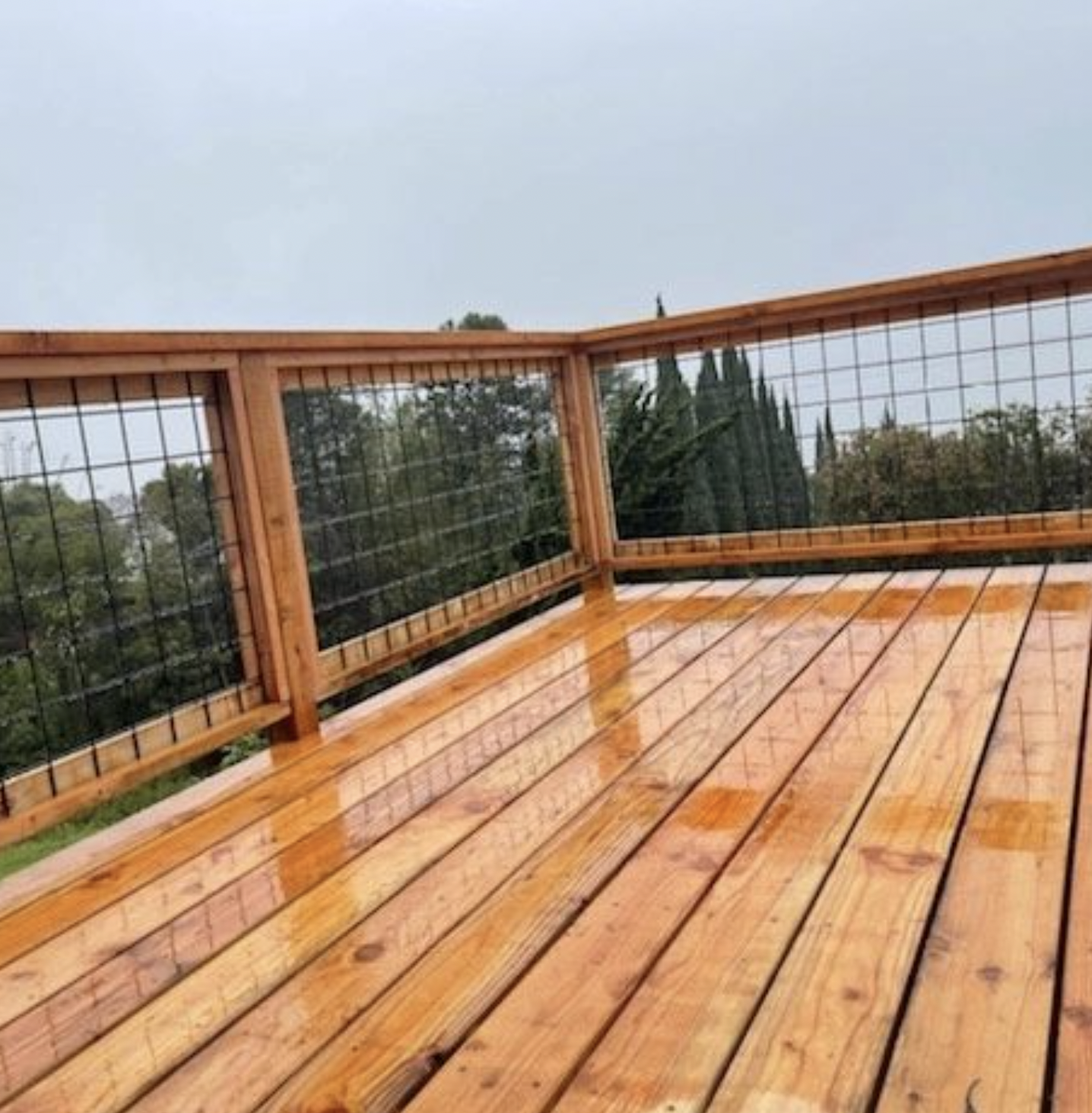 Wooden deck with a wire mesh railing on a cloudy day; trees in the background.