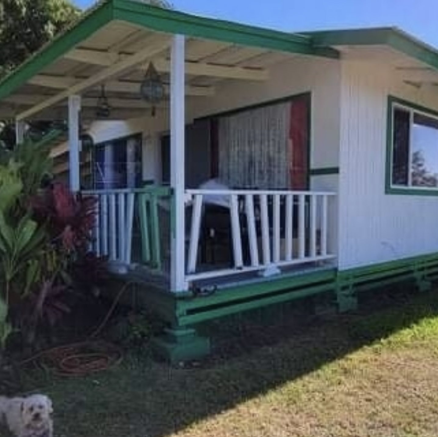 White house with green trim and porch. Small dog in the foreground.