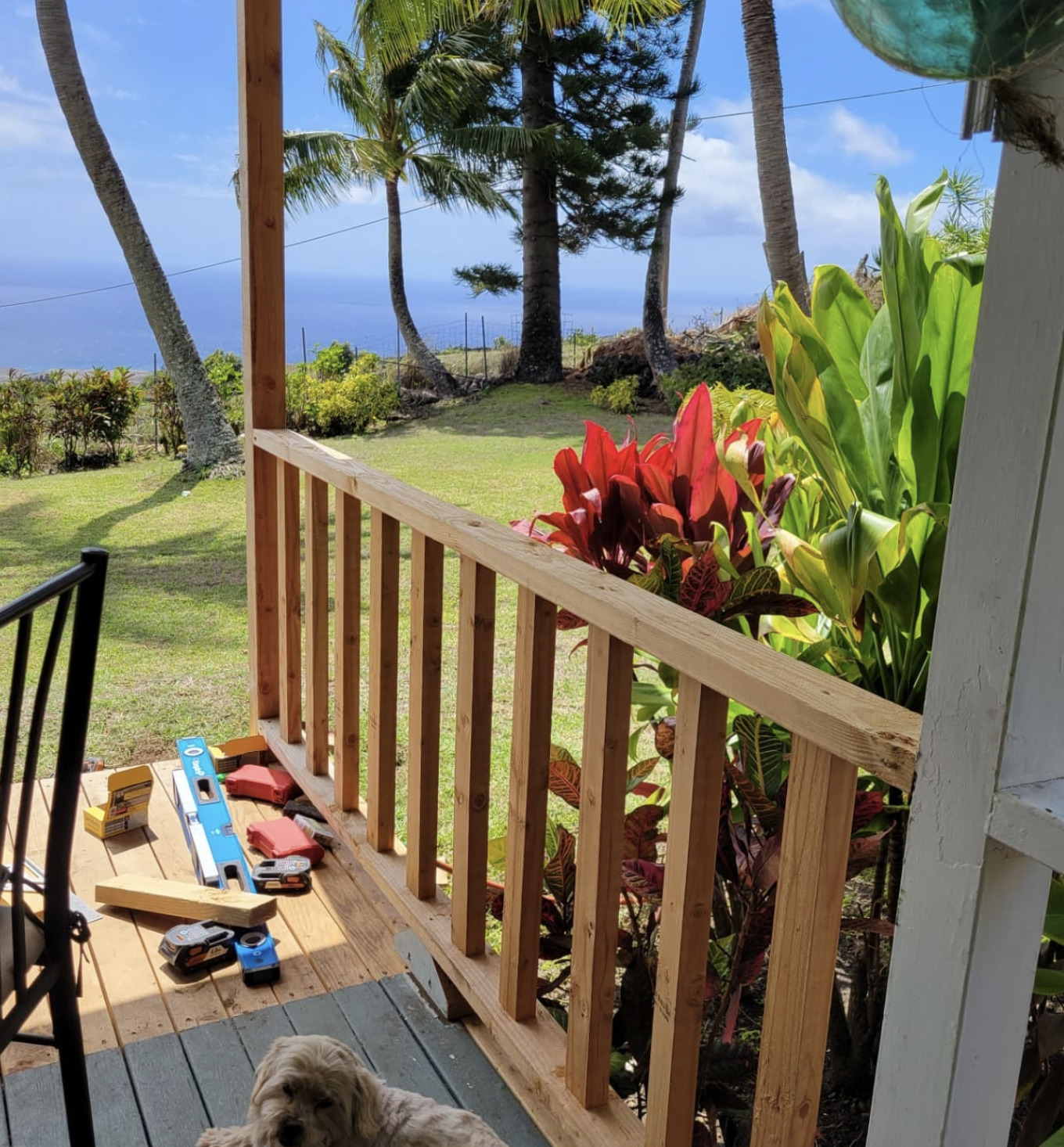 Wooden deck with railing overlooking ocean view, lush greenery, and a dog.