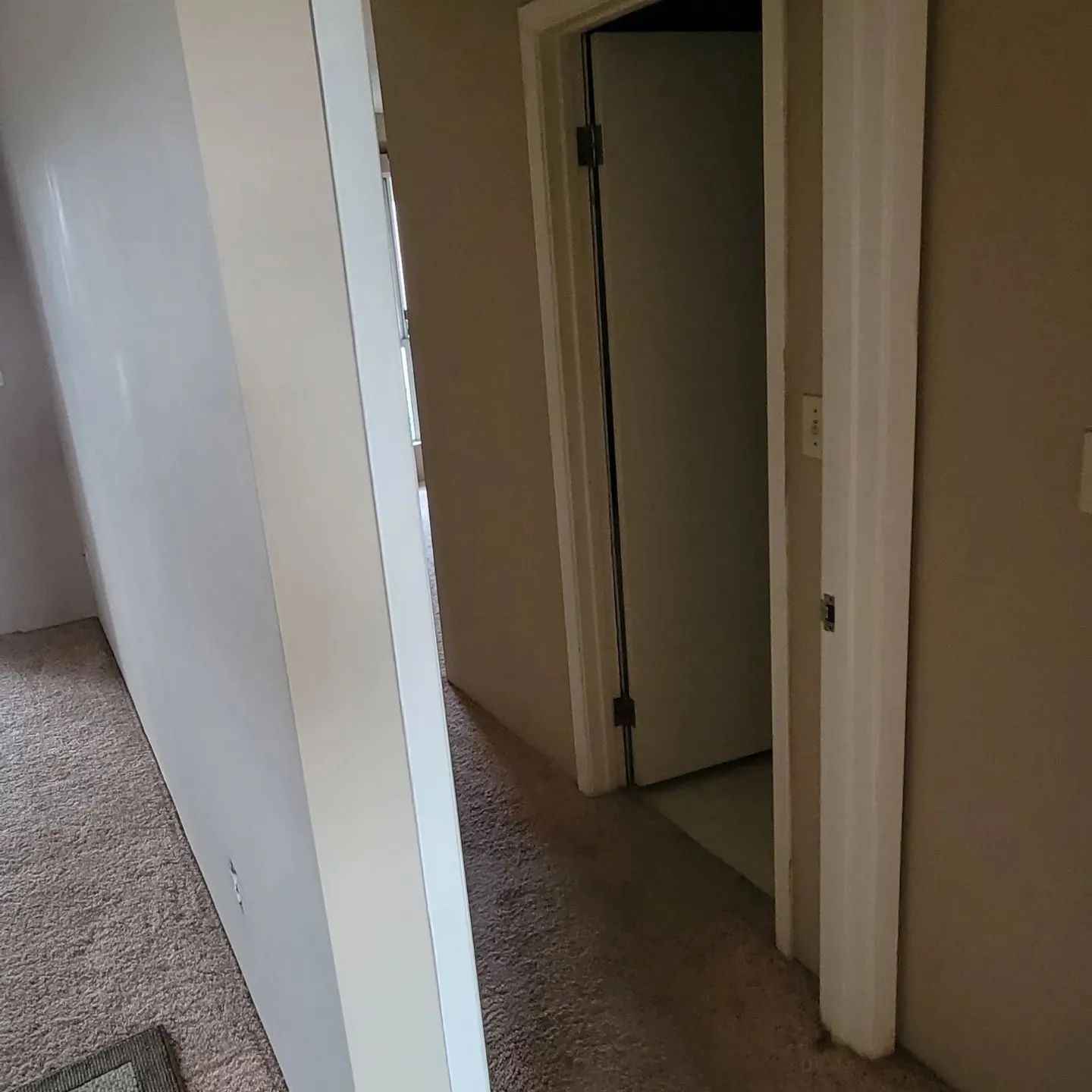 Carpeted hallway with white doors, including an open closet or bathroom door.