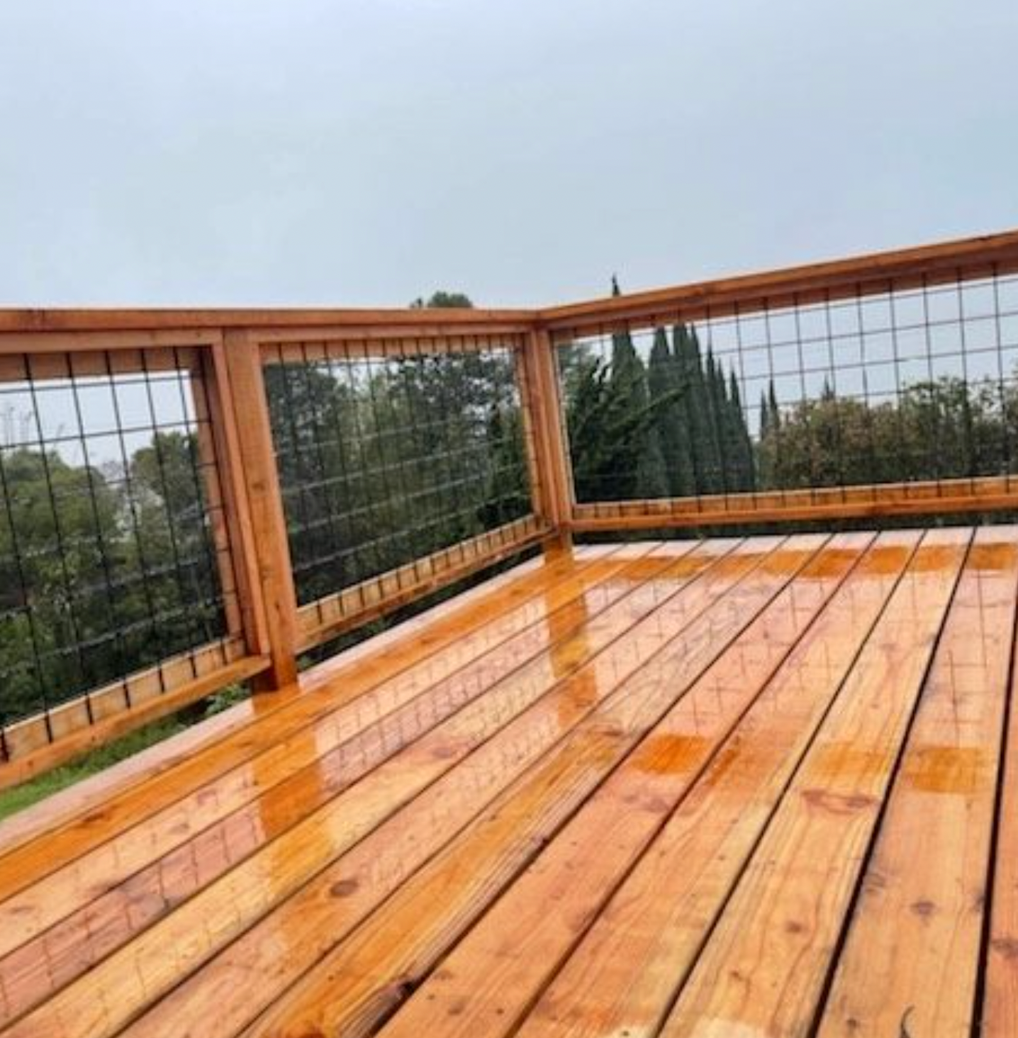 Wet wooden deck with wire railing overlooking a tree-lined yard under a cloudy sky