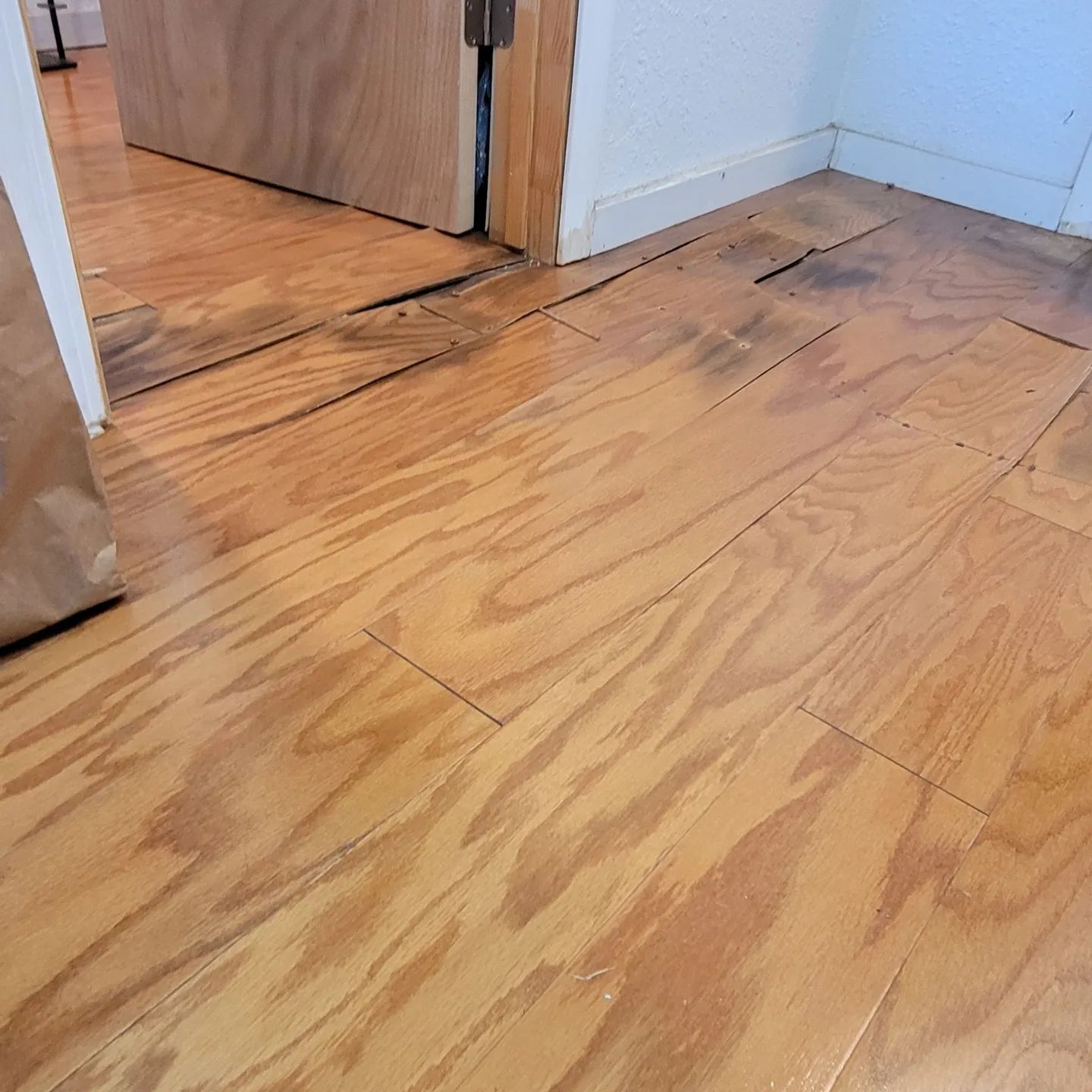 Water-damaged hardwood floor with buckling planks near a doorway in a room with white walls