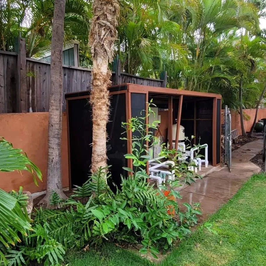 Tropical backyard patio with white chairs, wooden pergola, and lush palm trees along a garden path