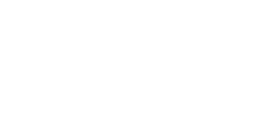 VUEPOINT CONSULTING logo
