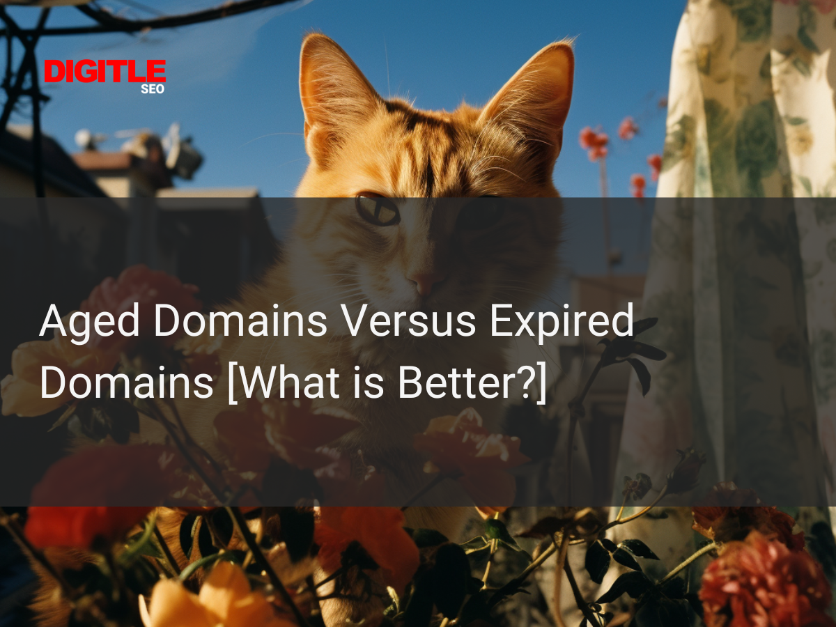 Aged Domains Versus Expired Domains [What Is Better?]