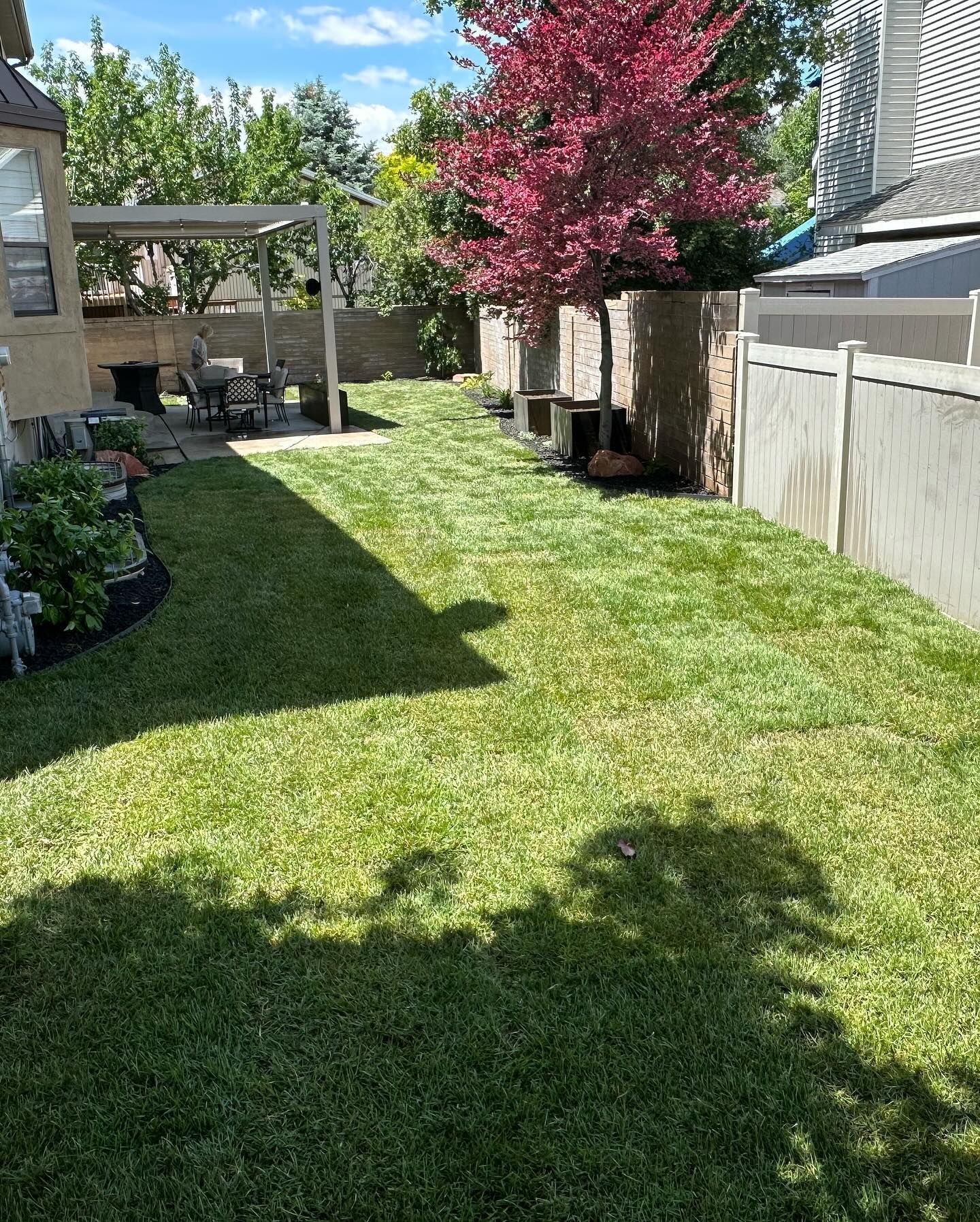 A backyard with a lush green lawn and a white fence.