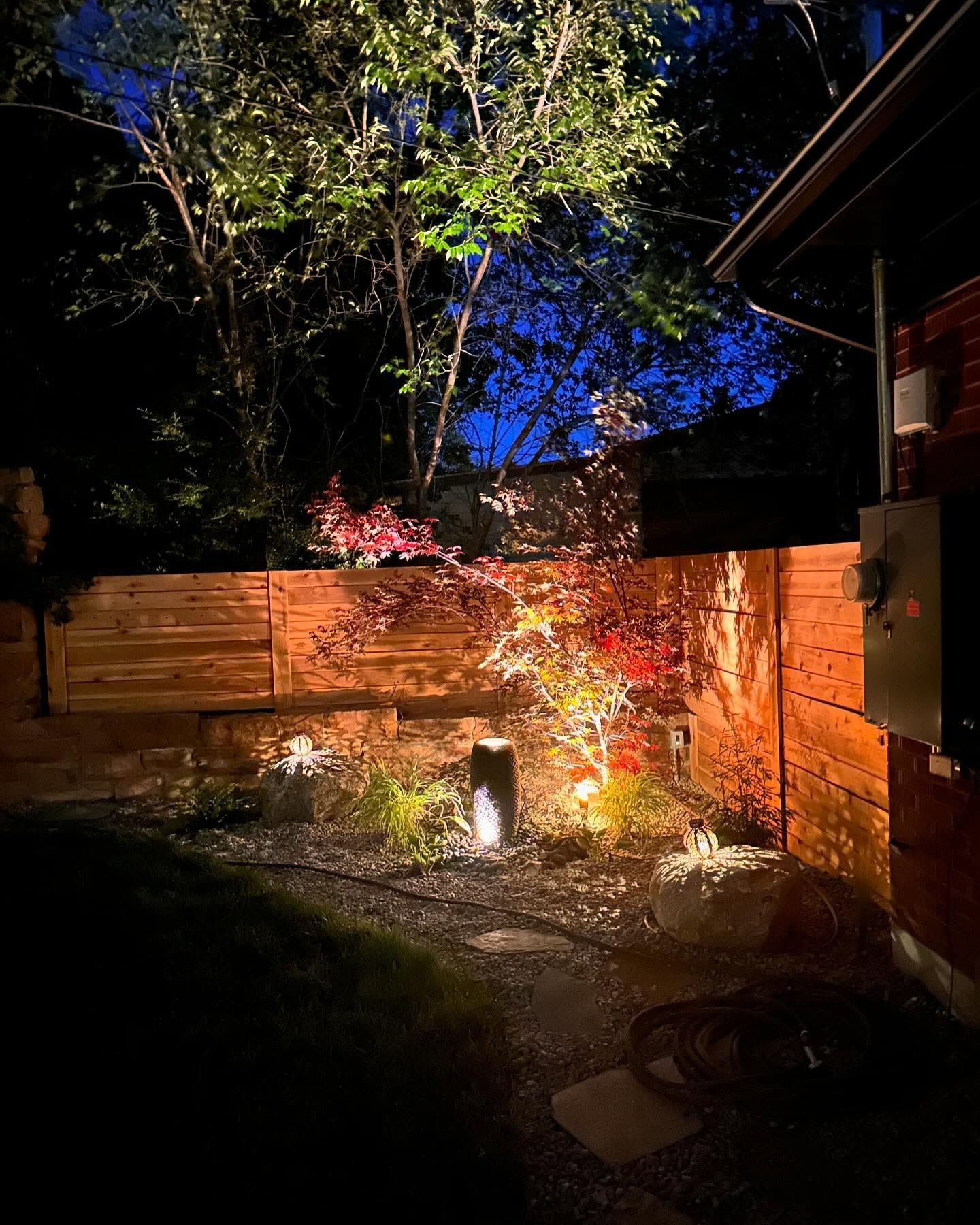 A backyard with a wooden fence and trees lit up at night.