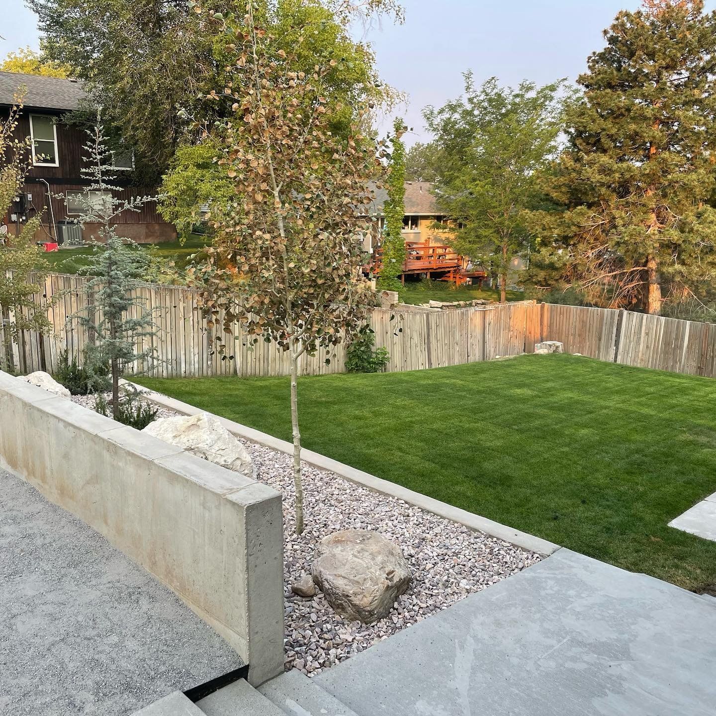 A lush green yard with a wooden fence and a house in the background