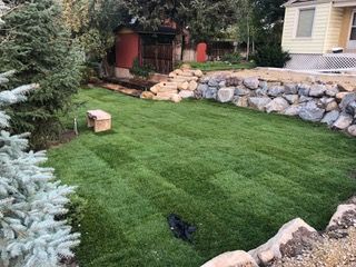 A yard with a lot of grass and rocks in front of a house.