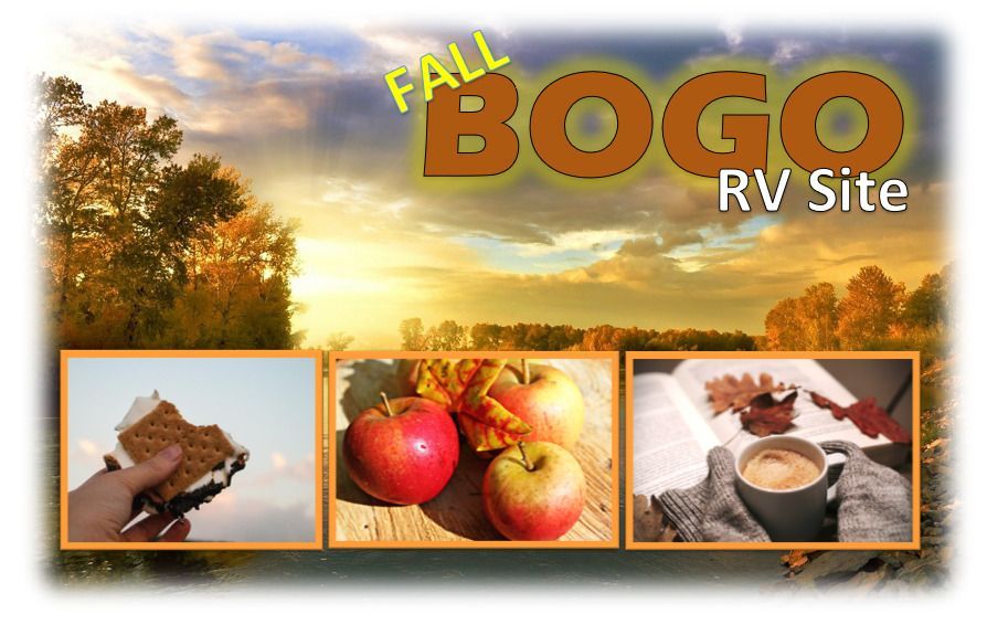 A poster that says bogo cabin or cottage on it