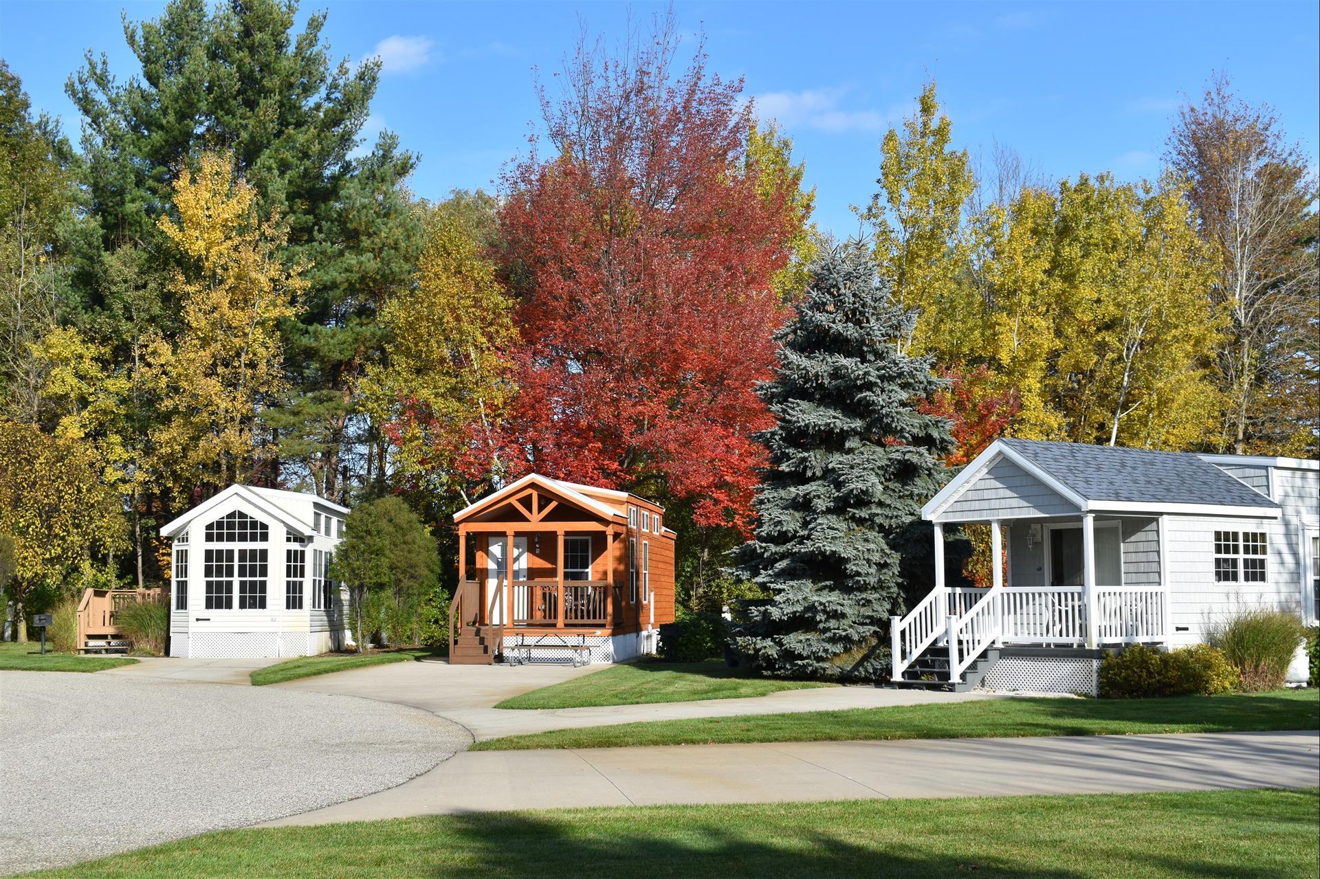 A row of mobile homes in a park with trees in the background.