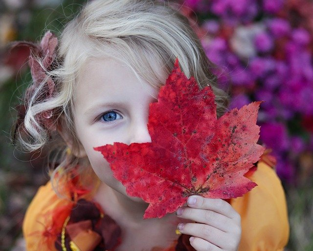 A little girl is covering her face with a red leaf.