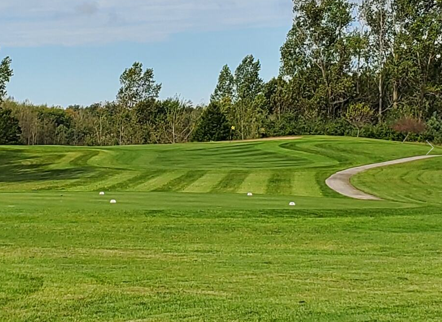 A golf course with a lot of green grass and trees in the background.