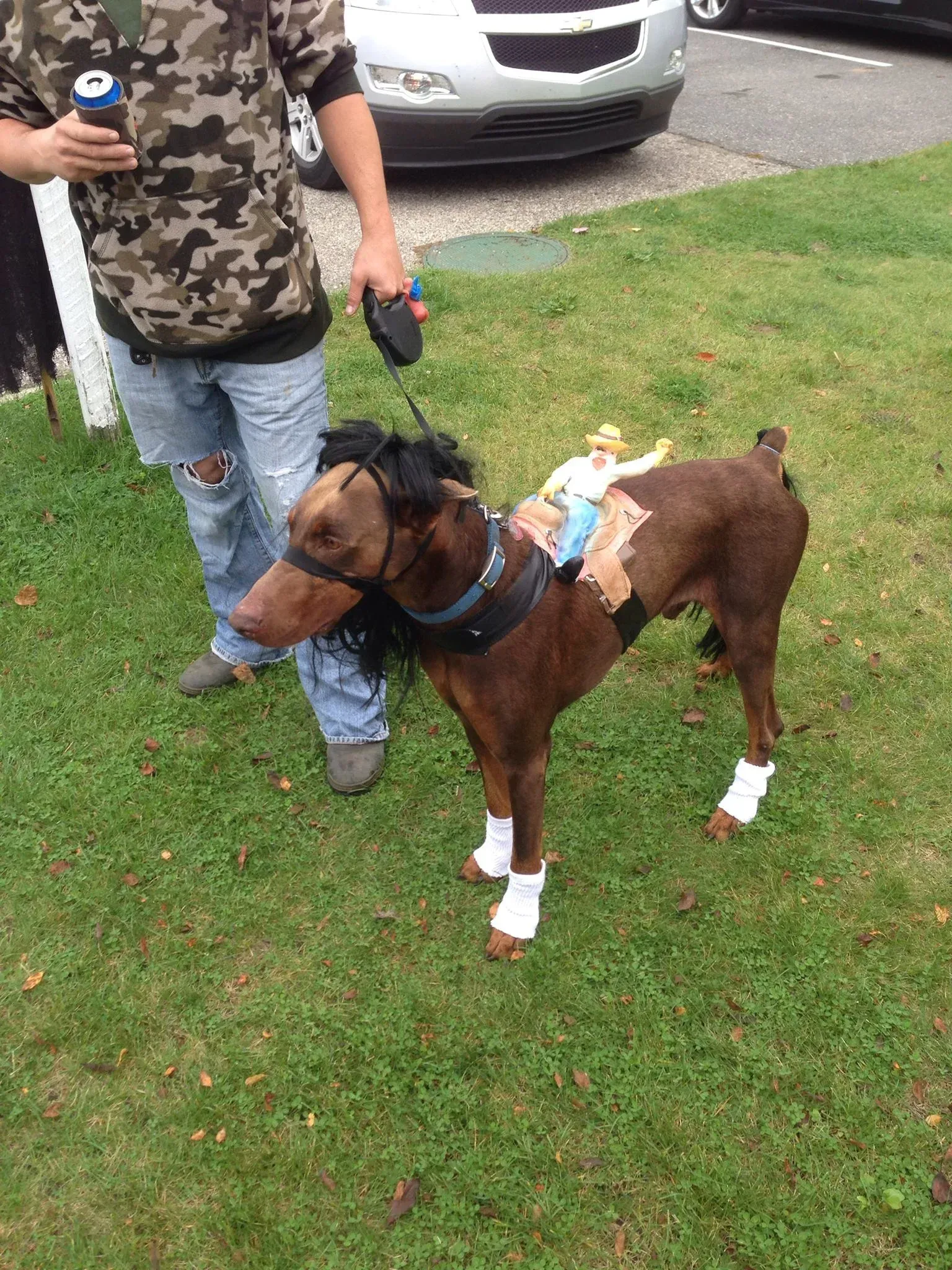 A man is standing next to a brown dog on a leash.