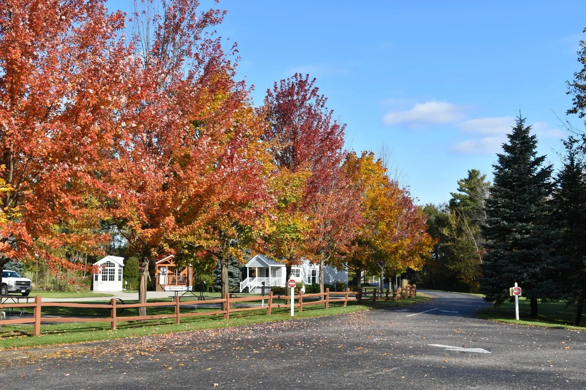 A row of trees with red and yellow leaves on a sunny day.
