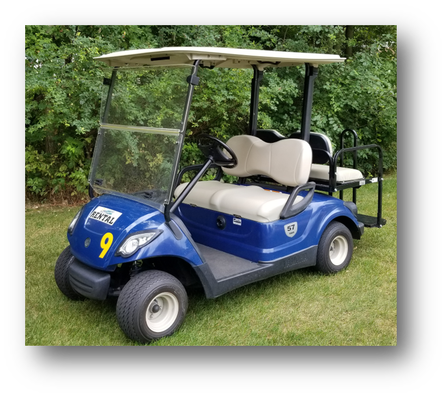 A blue golf cart with the number 9 on it