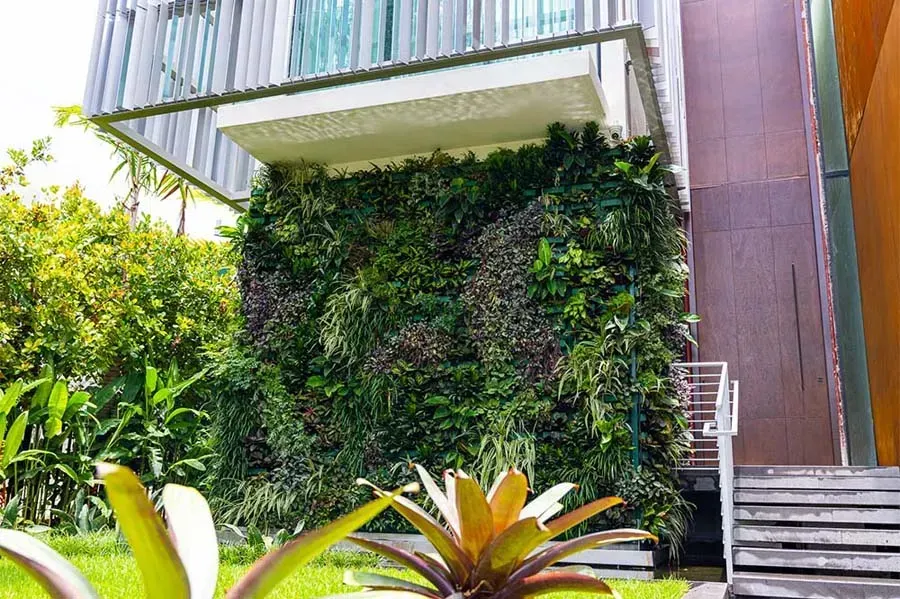 Green wall of plants on a building facade with a roof, next to stairs and lawn.