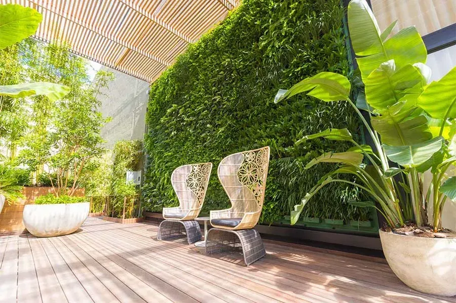 Outdoor patio with lush green wall, wooden deck, two chairs, and potted plants.
