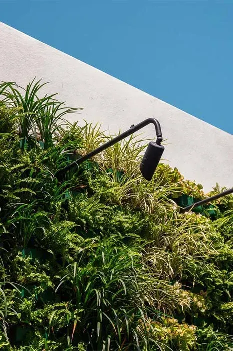 Green wall with a black spotlight against a white building and blue sky.